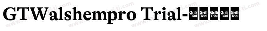 GTWalshempro Trial字体转换
